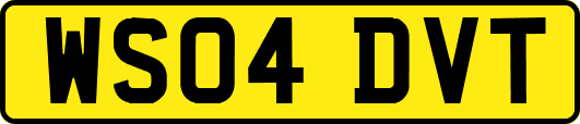 WS04DVT
