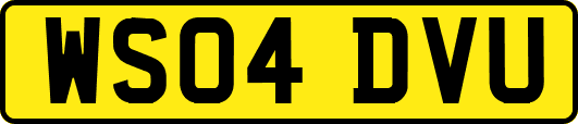 WS04DVU