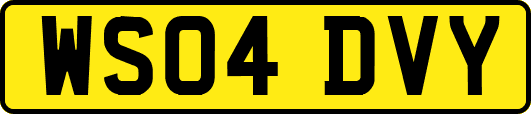 WS04DVY