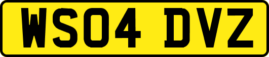 WS04DVZ