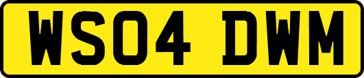 WS04DWM