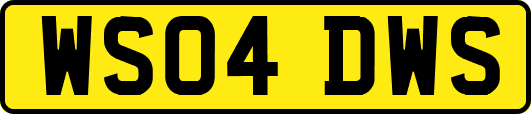 WS04DWS