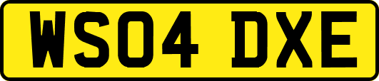 WS04DXE