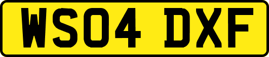 WS04DXF