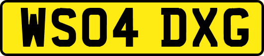 WS04DXG