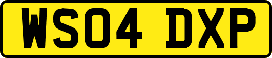 WS04DXP