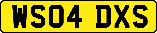 WS04DXS