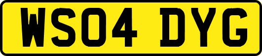 WS04DYG