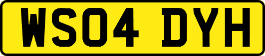 WS04DYH