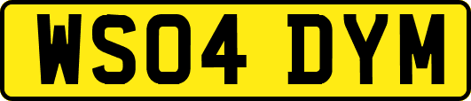 WS04DYM
