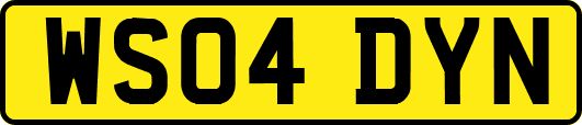 WS04DYN