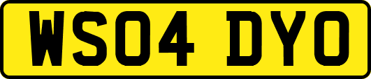 WS04DYO