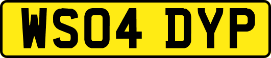 WS04DYP