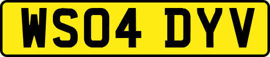 WS04DYV