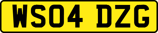 WS04DZG