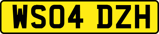 WS04DZH