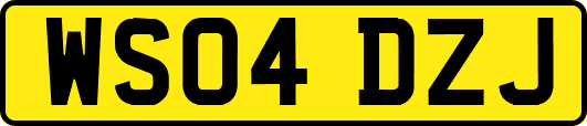 WS04DZJ