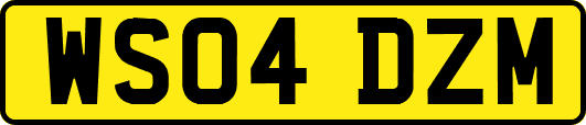 WS04DZM