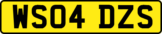 WS04DZS