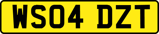 WS04DZT