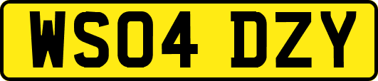 WS04DZY