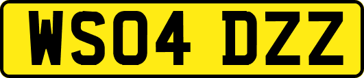 WS04DZZ