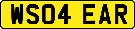 WS04EAR