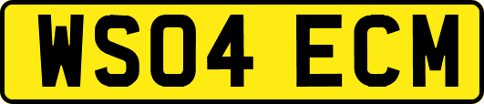 WS04ECM