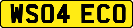WS04ECO