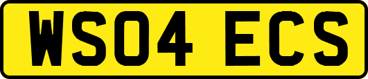WS04ECS
