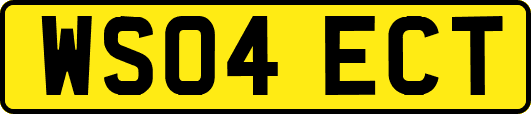 WS04ECT
