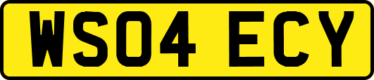 WS04ECY