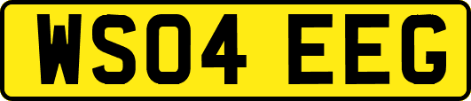 WS04EEG