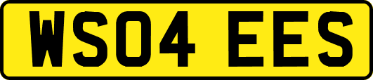 WS04EES
