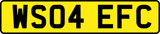 WS04EFC