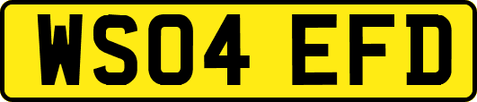 WS04EFD
