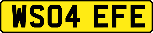WS04EFE