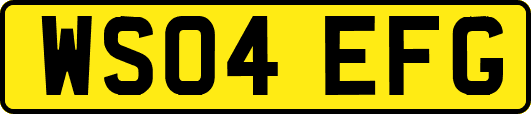 WS04EFG