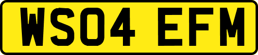 WS04EFM