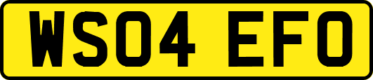 WS04EFO