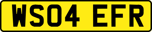 WS04EFR