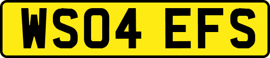 WS04EFS