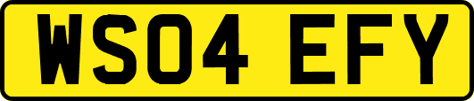 WS04EFY