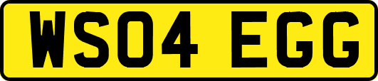 WS04EGG