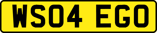 WS04EGO