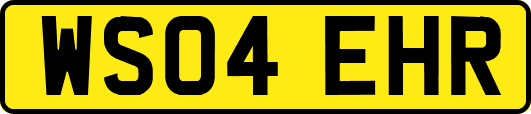 WS04EHR