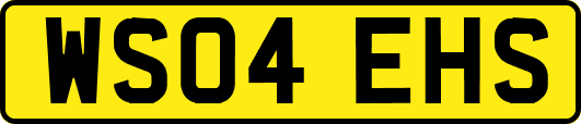 WS04EHS