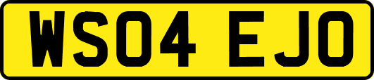 WS04EJO