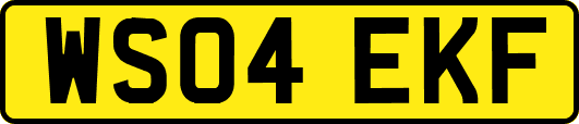 WS04EKF