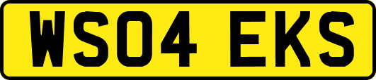 WS04EKS
